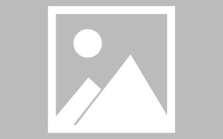 玉树网页设计英文默认字体（网页设置英文转换中文）